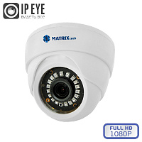 Купольная IP камера видеонаблюдения DW1080IP20F DC (3,6мм)